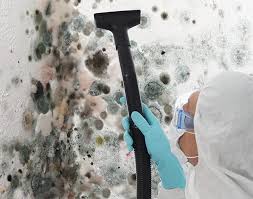 Best Black Mold Removal  in Holts Summit, MO